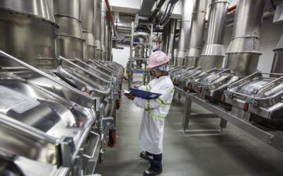 Eficiencia Energética en la Industria de Alimentos: Un Pilar para la Sostenibilidad en Colombia y en Latinoamérica
